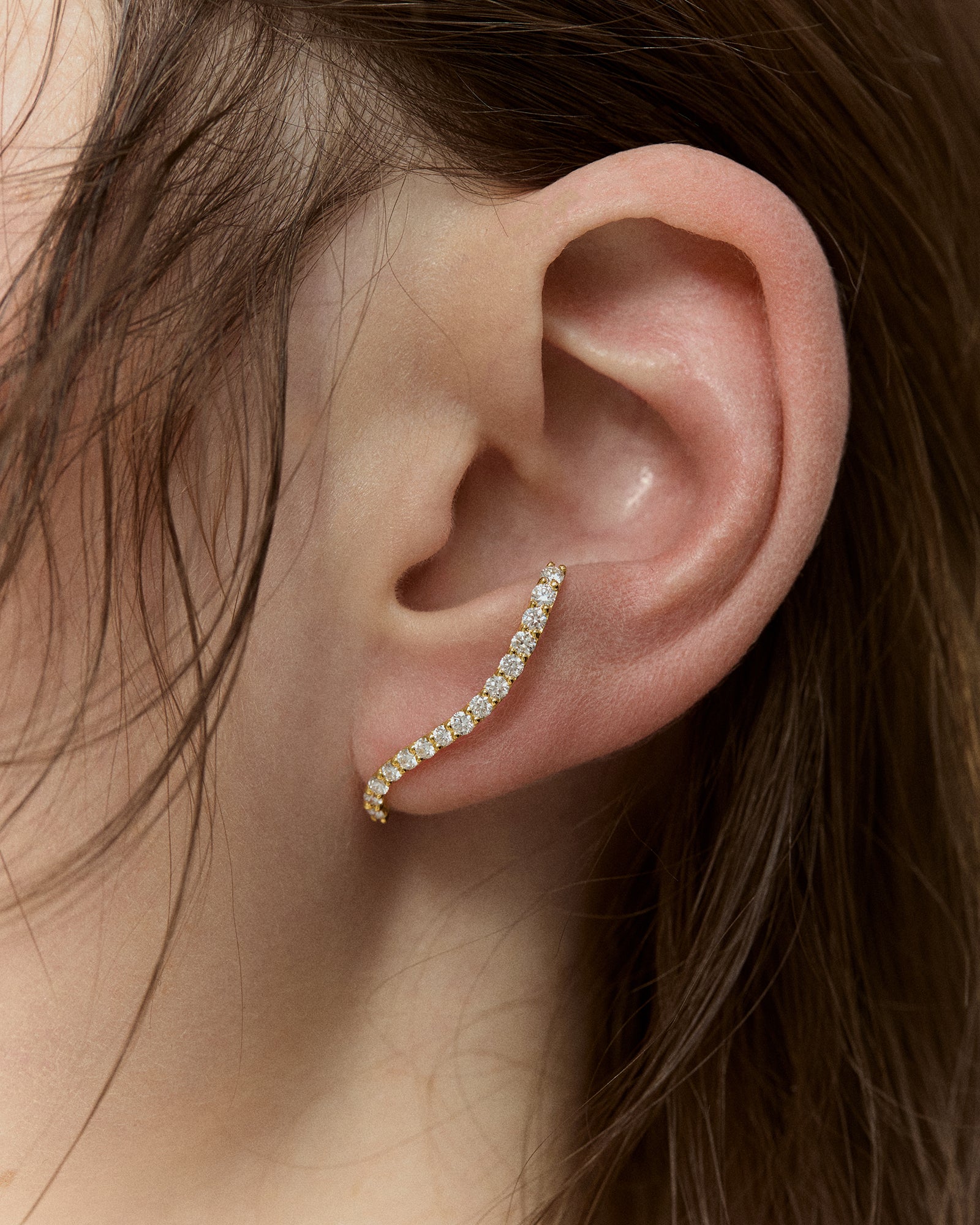 Graceful Fluidity Earrings