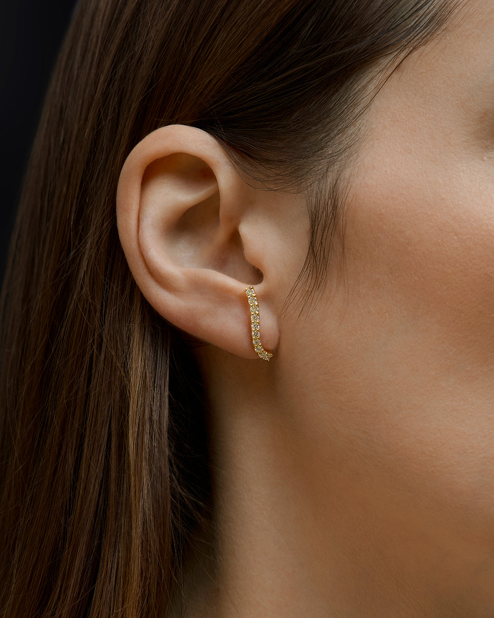 Graceful Fluidity Petite Earrings