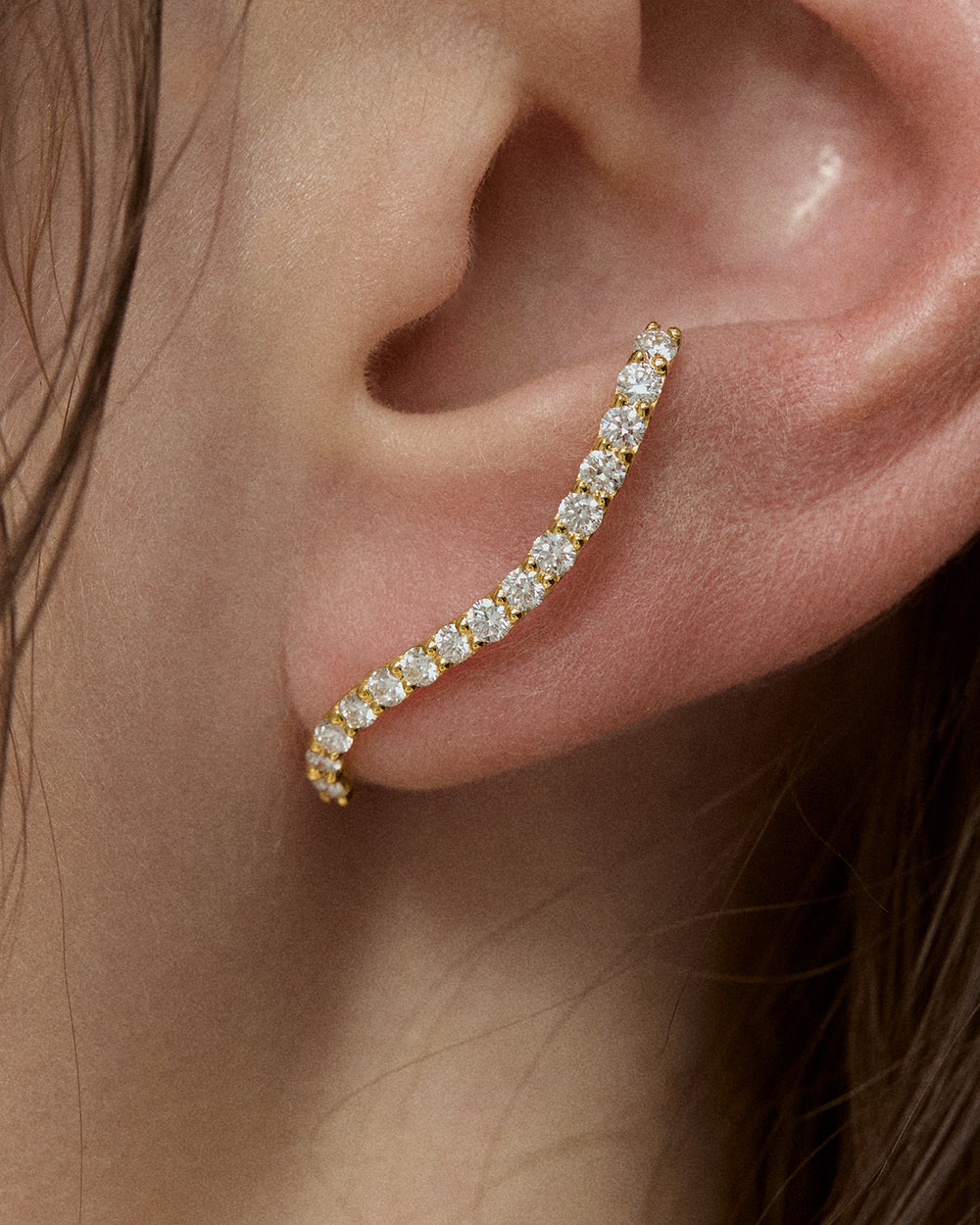 Graceful Fluidity Earrings