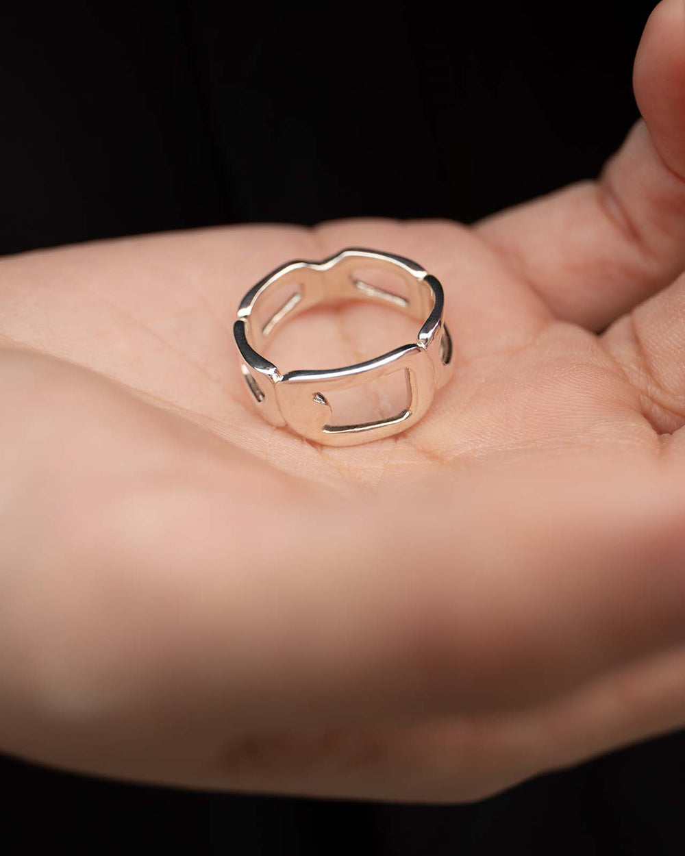 Anillo Voyage