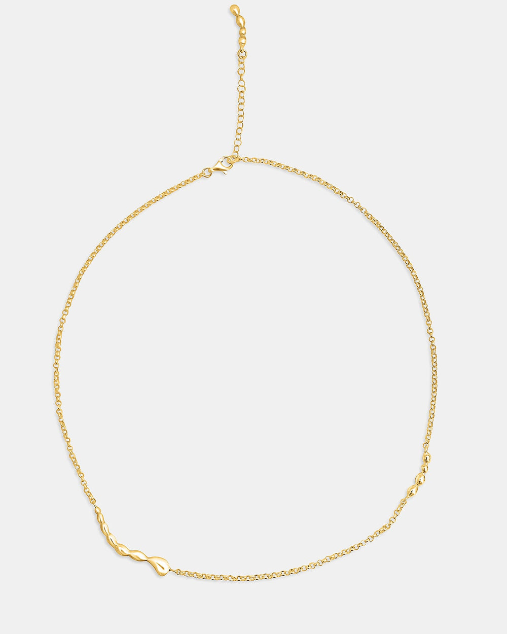 Délicatesse Chain Necklace In Gold Vermeil