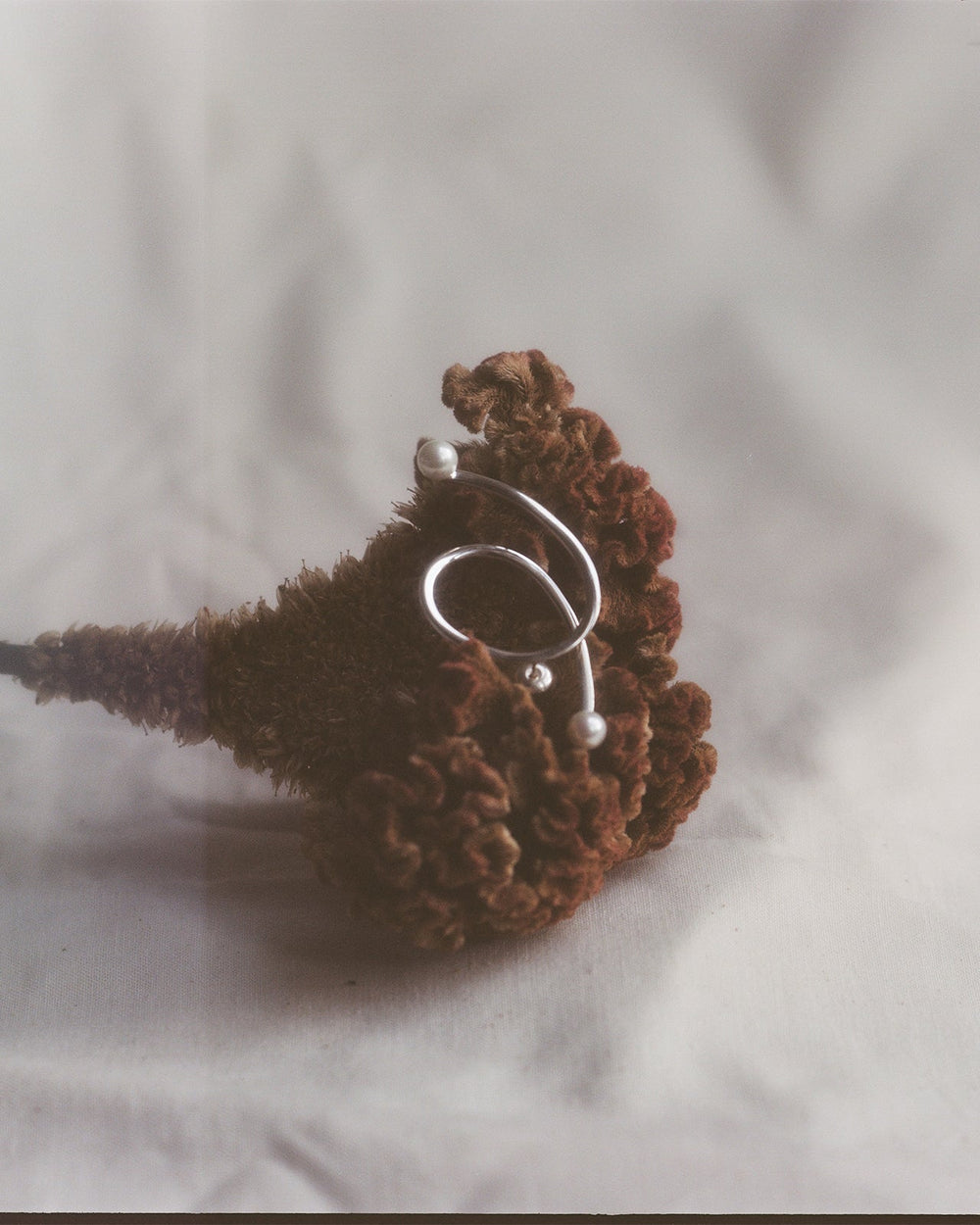Pendientes Soul's Journey